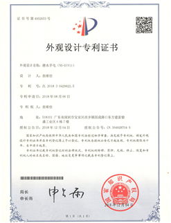NS-DIV11证书
