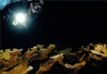 Tips For Drift Diving （2)